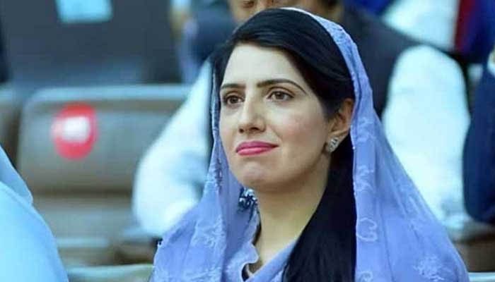 Govt fails to achieve targets despite political manoeuvering: Barrister Gohar