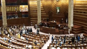 Senate approves armed forces Amendment Bills 2025