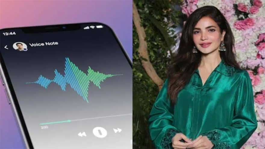 Humaira Asghar's last voice note surfaces after tragic death