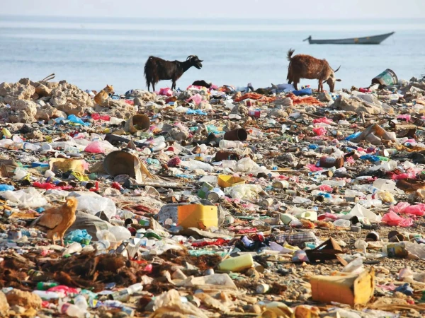 Pollution, plastic exposure and poor diet are major causes of cancer in young people
