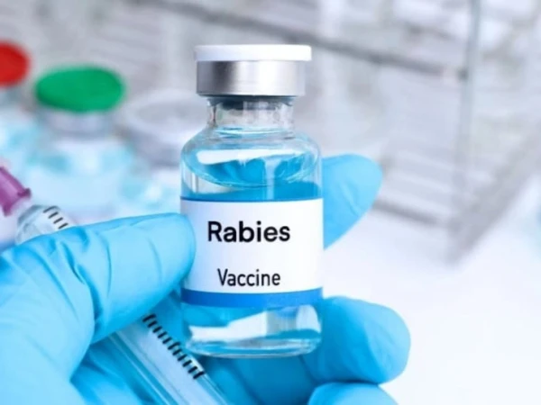 Rabies vaccine developed locally for the first time in Pakistan