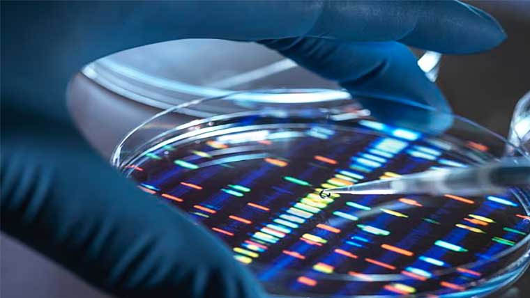 Scientists sound alarm over lab-made human DNA as 'God-like' project moves forward
