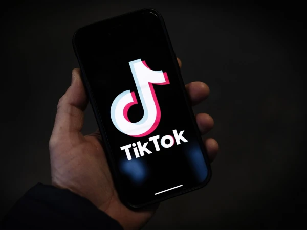 How many videos of Pakistanis did TikTok delete in three months?