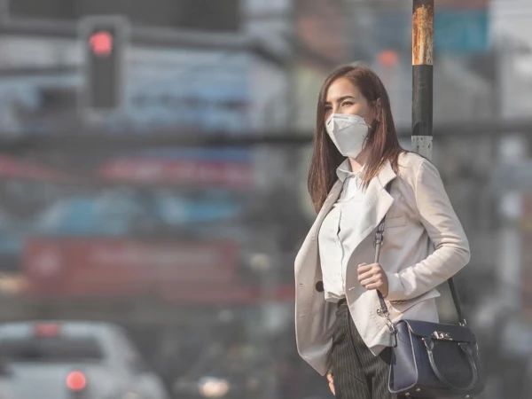 What are the risks to the brain from breathing polluted air?