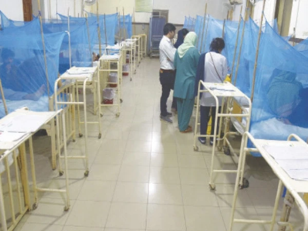 85 dengue cases reported in Rawalpindi so far