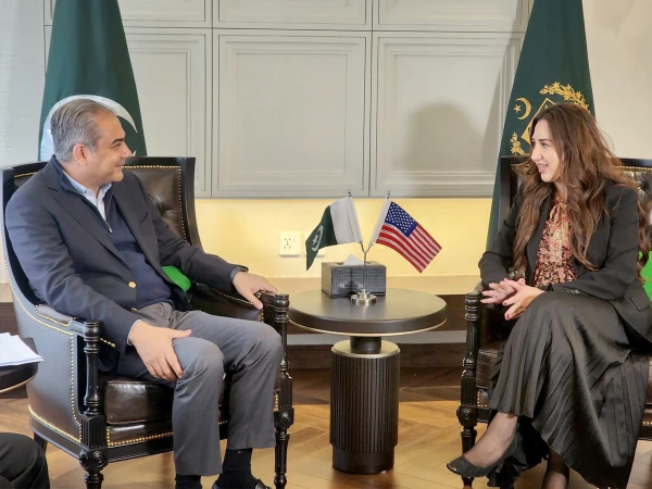 Acting US Ambassador meets Interior Minister; discusses individuals wanted by Pakistan