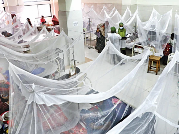 5 more new dengue cases reported in Rawalpindi