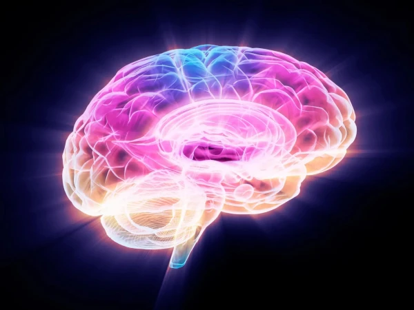 Protein discovered that prevents brain aging