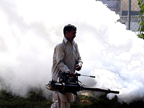 Dengue is out of control in Rawalpindi.
