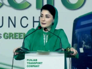 Punjab govt prepares strict laws against land mafia, property fraud