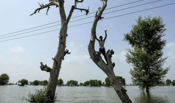 Hundreds of villages in Multan, Rahim Yar Khan, Rajanpur, and Vehari flooded