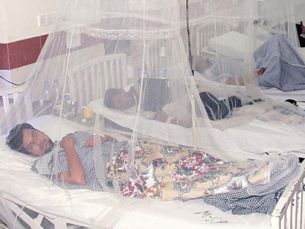 Rawalpindi; Dengue cases increase, 20 new patients reported in the last 24 hours