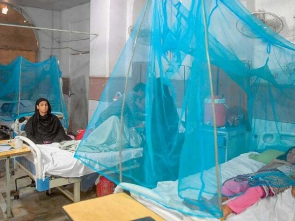 Sindh Health Department releases comprehensive report on malaria cases