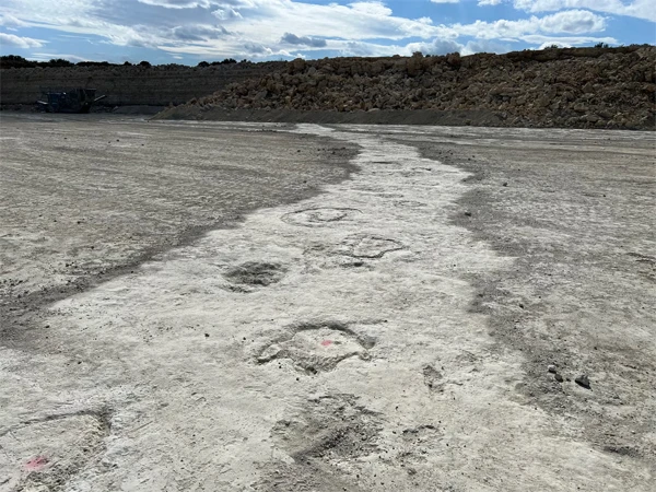 Britain: The biggest discovery of dinosaur footprints