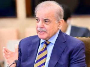 Prime Minister directs to encourage registration of domestic industries for business expansion