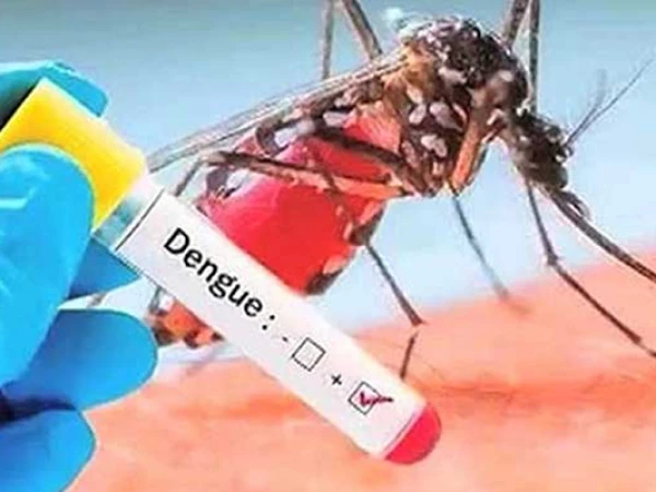 232 more dengue cases reported across Sindh