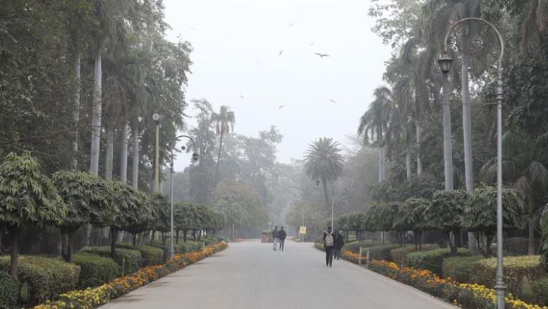 Lahore air quality sees slight improvement after prolonged smog
