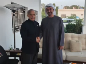 Prime Minister Shehbaz Sharif meets UAE President, discusses regional issues