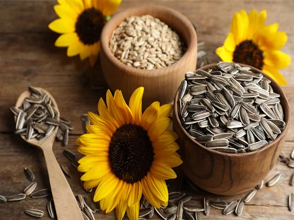 The rich health benefits hidden in sunflower seeds