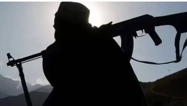 UN report says Afghan soil being used by militant groups for cross-border attacks