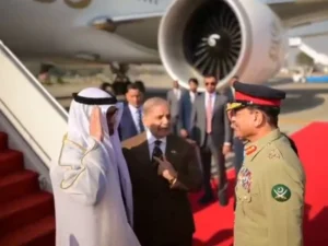 UAE President meets with Prime Minister and Field Marshal, agrees to increase cooperation in various sectors including trade