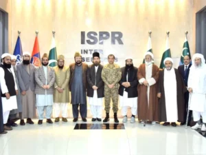 Peace Message Committee assures full support to army in promoting national narrative