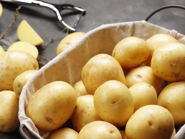 Punjab close to becoming a potato exporting province in the global market