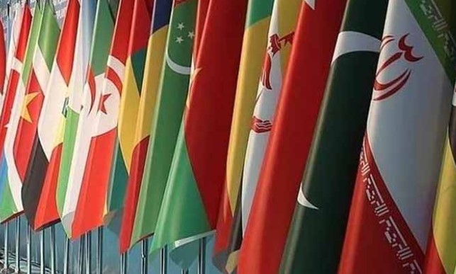 Pakistan, 13 countries condemn US envoy's remarks on Israeli Eexpansion
