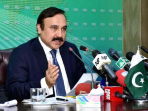 The activities of Zulfi Bukhari and Imran Khan’s sons reflect a clear political agenda, Tariq Fazal Chaudhry