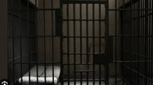 J'avais un rêve indien. Dans l'enfer de la prison de Gorakhpur - Book Summary 