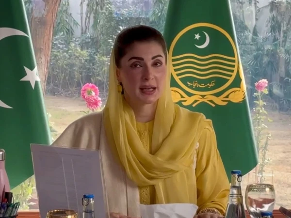 Proposal to build mini dams at 17 locations in Punjab, decision to eliminate encroachments on waterways