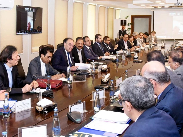 Approval to export donkey meat and hides