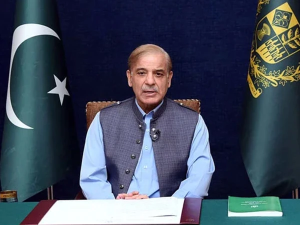 Lahore court grants interim bail to PM's daughter, son-in-law in money laundering case
