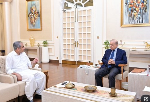 PM Shehbaz allows spectators at PSL 11 playoffs as well: Naqvi
