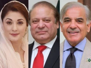 Prime Minister briefs Nawaz Sharif on the country’s situation, Maryam Nawaz also present