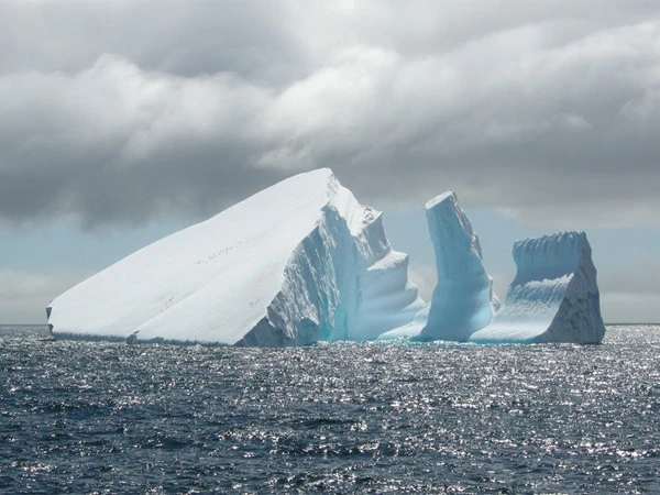Melting glaciers are changing the underwater environment: Research