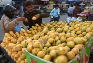 Pakistan’s Mango Exports Drop Amid Ongoing Fallout from Middle East War