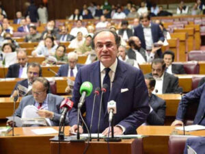 Finance Minister stresses on increasing tax net instead of burdening salaried class