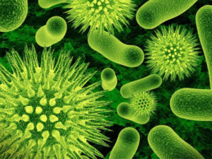 Rapid increase in influenza A cases, how to avoid it?