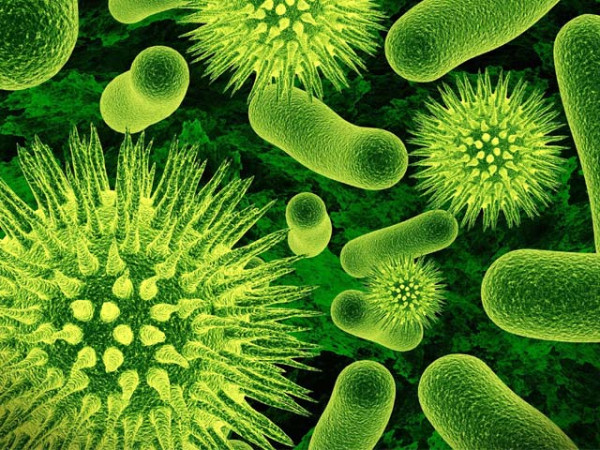 Rapid increase in influenza A cases, how to avoid it?