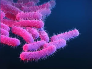 Encouraging results of new vaccine against Shigella