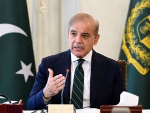 Privatization of discos; Prime Minister directs to give top priority to consumer interests