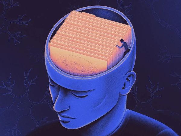 How does the brain add new information to old memories?