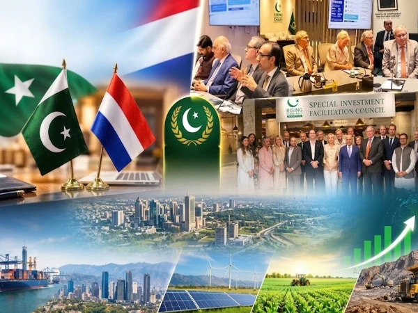 foreign investment